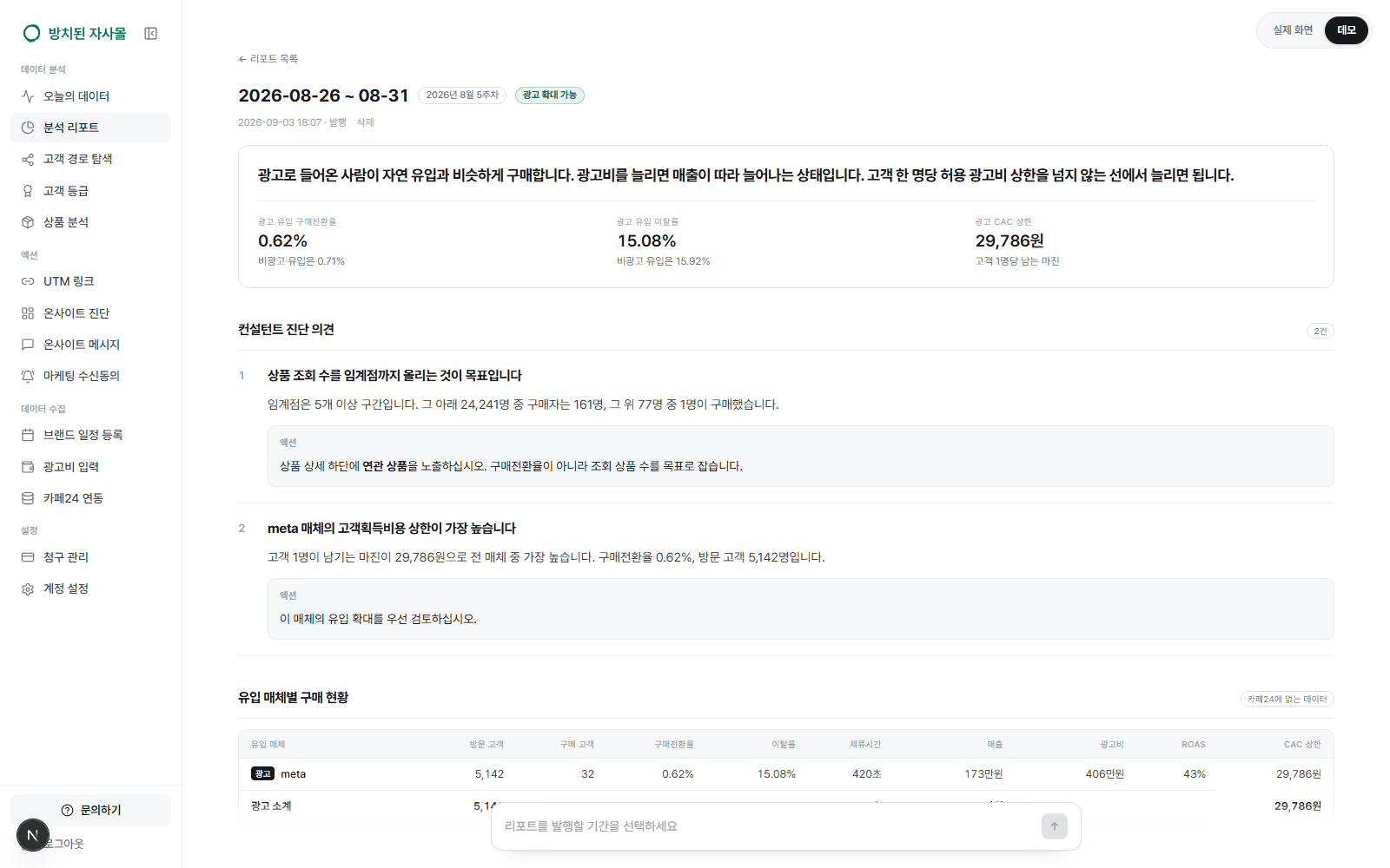분석 리포트 결과 화면